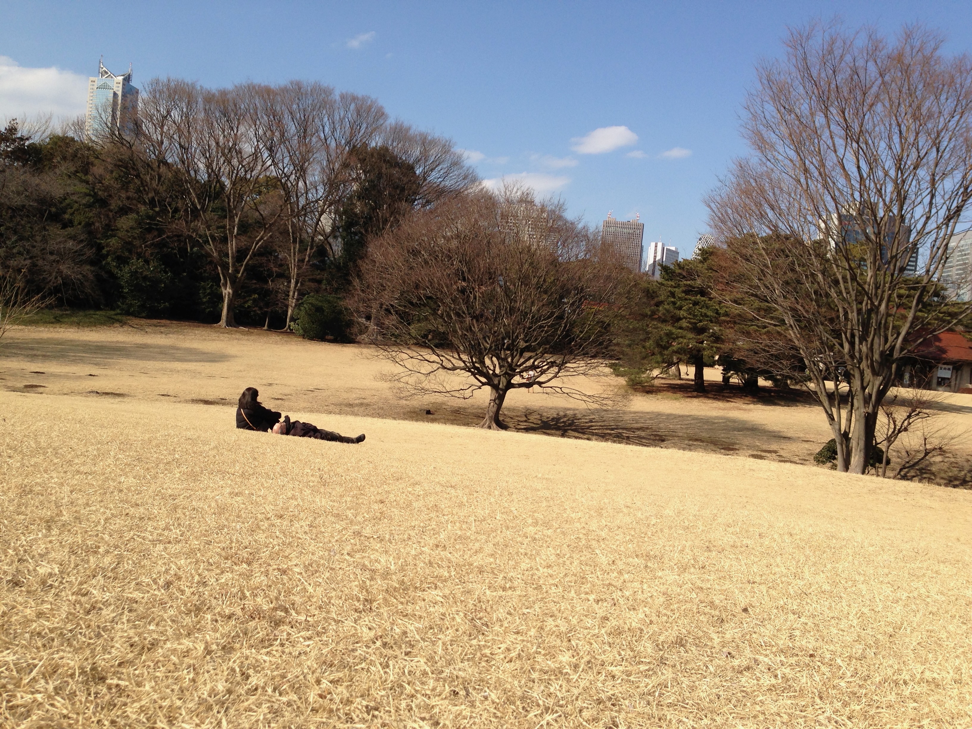 ‎⁨Meiji Jingu⁩, ⁨Shibuya⁩, ⁨Tokyo⁩, ⁨Japan⁩