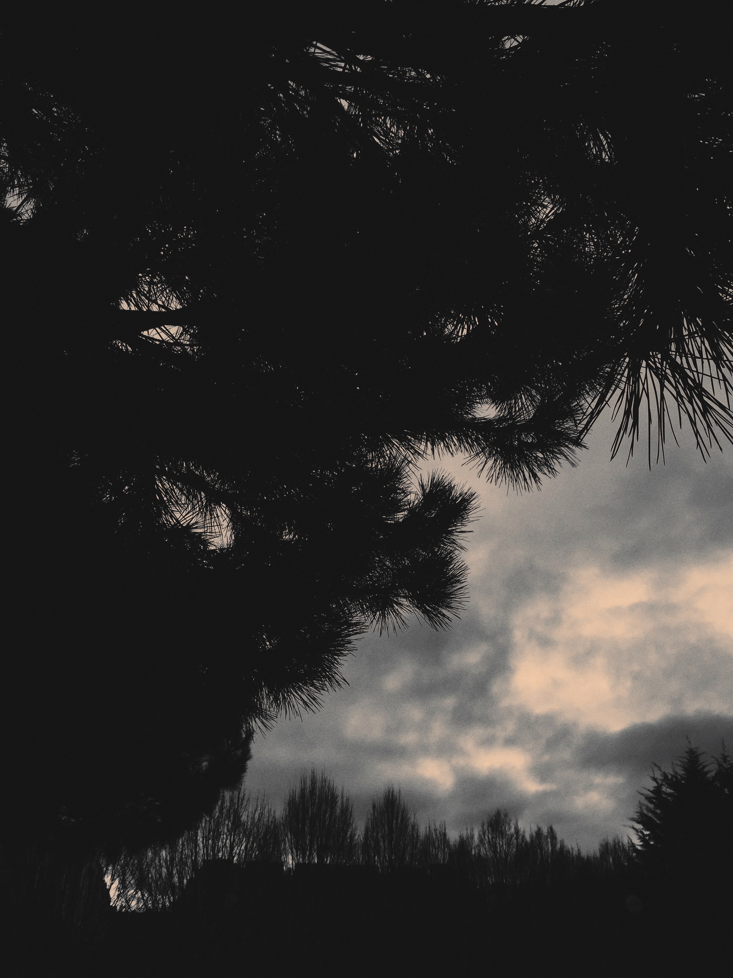 Bois de Vincennes, Paris, France